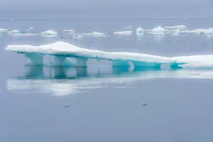 Hinlopen Strait Prints: Melting Iceberg, Hinlopen Strait, Spitsbergen Island, Svalbard Archipelago, Norway