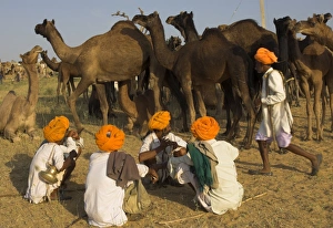Men in bright turbans at huge camel and cattle fair