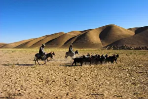 Afgani Prints: Men on donkeys tending goats, between Herat and Maimana, after Bala Murghah