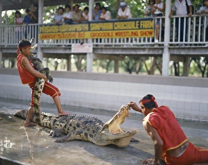 Animal Welfare Prints: Two men exhibit crocodiles to tourists at a crocodile