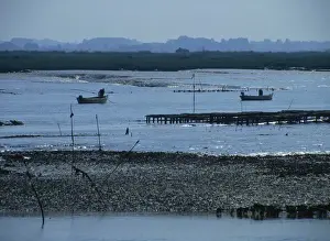 Poitou Charentes Prints: Men in small boats working the oyster beds at Mornac sur Seudre, Poitou Charentes
