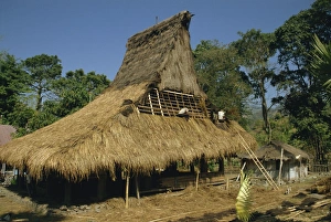 Repairing Prints: Men thatching the roof of a house near Moni