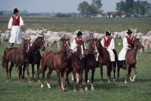 Hungarian Culture Prints: Men in traditional dress riding horses at Bugoc Puszra