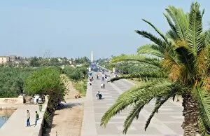 Images Dated 8th April 2010: Menara Gardens, Marrakech, Morocco, North Africa, Africa