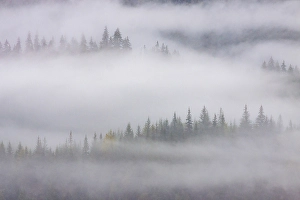 Juneau Prints: Mendenhall Glacier just outside Juneau, Southeast Alaska, United States of America