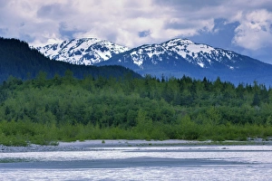 Juneau Prints: Mendenhall Glacier Lake, Juneau, Alaska, United States of America, North America