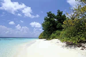 Baa Atoll Prints: Mendu Island