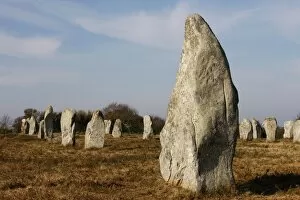 Images Dated 28th February 2009: Menec menhirs in Carnac, Morbihan, Brittany, France, Europe