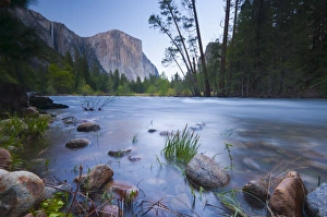 Images Dated 10th May 2009: Merced River, Yosemite National Park, UNESCO World Heritage Site, California