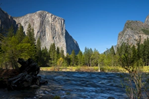 Images Dated 10th May 2009: Merced River, Yosemite National Park, UNESCO World Heritage Site, California