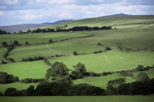 Merrivale Prints: Merrivale, Dartmoor, UK