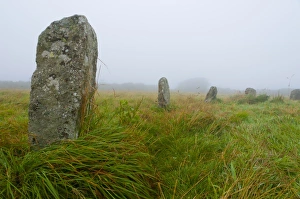 Stone Circle Prints: Merry Maidens stone circle, Cornwall, England, United Kingdom, Europe