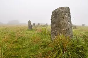 Images Dated 30th August 2009: Merry Maidens stone circle, Cornwall, England, United Kingdom, Europe