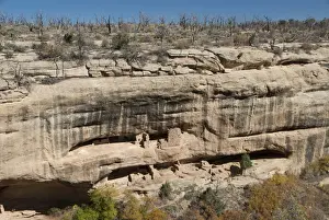 Mesa Verde National Park, UNESCO World Heritage Site, Colorado, United States of America, North America