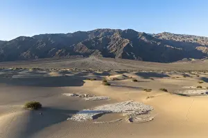 Mesquite flat sand dunes in Death Valley National Park, California, United States