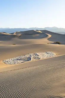 Mesquite flat sand dunes in Death Valley National Park, California, United States