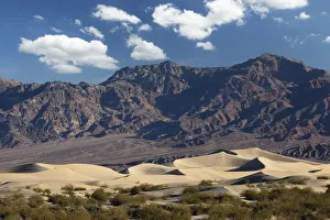 Sand Dunes Prints: Mesquite Flat Sand Dunes at sunsrise, Death Valley National Park, California