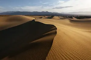 Expanse Prints: Mesquite Sand Dunes at dawn, Death Valley National Park