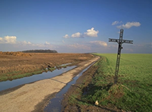 Calvaries Prints: Metal crucifix beside a muddy rural road through agricultural land, near Azincourt
