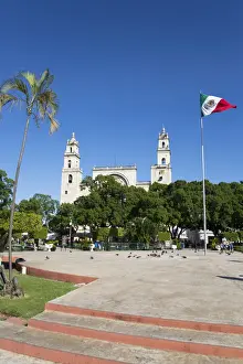 Patriotism Prints: Mexican flag, Plaza Grande, Cathedral de IIdefonso in the background
