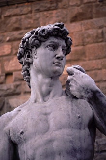 Michelangelo Prints: Michelangelos David