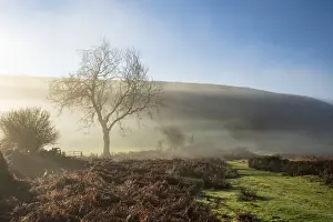 Moorland Prints: Mid-winter sunlight, and mist around Hutton Le Hole moorland village in Farndale
