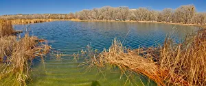 Lagoon Gallery: Middle Lagoon, one of three Lagoons at Dead Horse Ranch State Park, Arizona