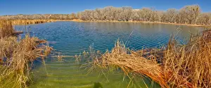 Rippled Prints: Middle Lagoon, one of three Lagoons at Dead Horse Ranch State Park, Arizona