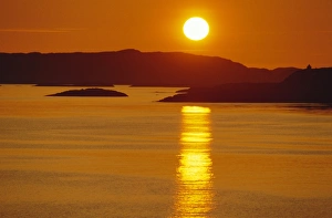 Midnight Sun