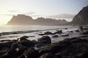 Midnight Sun Prints: Midnight sun