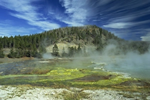Thermal Areas Prints: Midway Geyser Basin, Yellowstone National Park