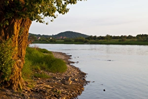 River Elbe Prints: The mighty River Elbe, Saxony, Germany, Europe