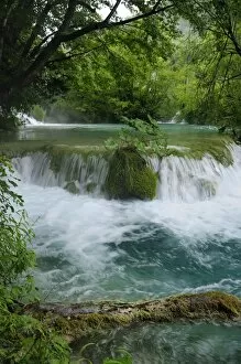 Images Dated 19th July 2010: Milke Trnine waterfall overhung by trees at Plitvice Lakes National Park