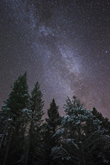 Night Sky Prints: The Milky Way rising over a forest near Kiruna in Sweden, Scandinavia, Europe