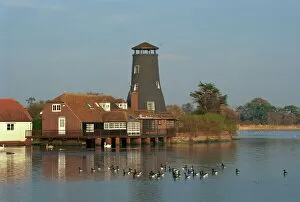 Mill Collection: The Mill, Langstone, Hampshire, England, United Kingdom, Europe