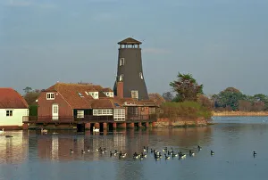 The Mill, Langstone, Hampshire, England, United Kingdom, Europe The Mill, Langstone, Hampshire, England, United Kingdom, Europe