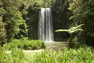 Images Dated 1st November 2010: Millaa Millaa Falls, Atherton Tablelands, Queensland, Australia, Pacific