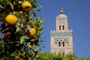 Orange Tree Prints: Minaret of the Koutoubia Mosque, Marrakesh, Morocco, North Africa, Africa