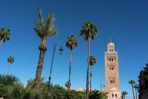 Ambiance Prints: Minaret of Koutoubia Mosque stands tall among palm trees in Marrakech under clear blue skies