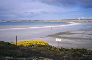 Cautioning Prints: Mined beach from the Falkland war, near Stanley, Falkland Islands, South America