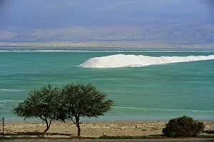 Images Dated 3rd August 2008: Mined sea salt at shallow south end of the Dead Sea near Ein Boqeq