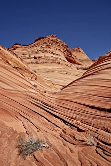 Sand Stone Prints: The Mini Wave formation, Coyote Buttes Wilderness