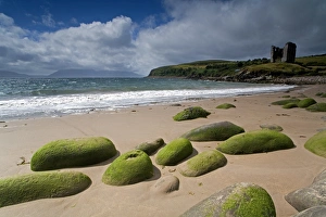 Kerry Prints: Minnard Beach