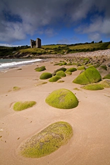 Dingle Prints: Minnard Beach, Dingle, County Kerry, Munster, Republic of Ireland, Europe