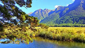 Mirror Prints: Mirror Lakes, near Milford, South Island, New Zealand