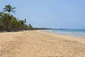 Images Dated 20th September 2008: Mission Beach, Queensland, Australia, Pacific