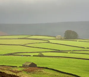 Misty Prints: Mist above Bolton Abbey, Yorkshire Dales, Yorkshire, England, United Kingdom, Europe