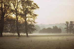 Moody Prints: Mist, Essex, England, United Kingdom, Europe