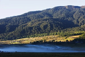 Images Dated 1st October 2009: Mist in Phobjikha Valley, Bhutan, Asia