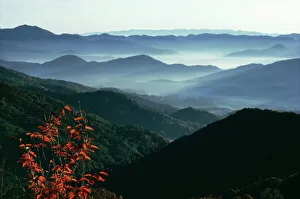 Enigma Prints: Mist rising from the Cataloochee ski area